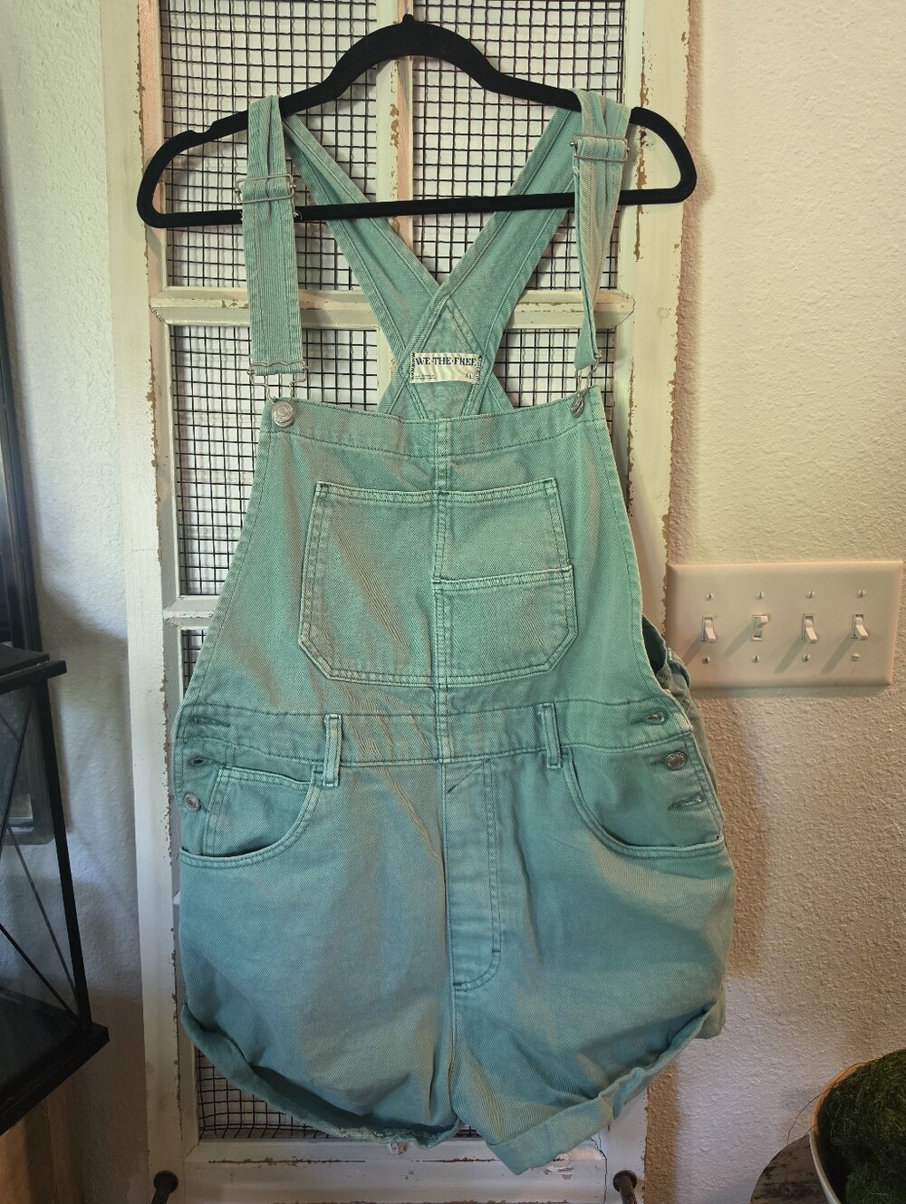 Free People Overalls